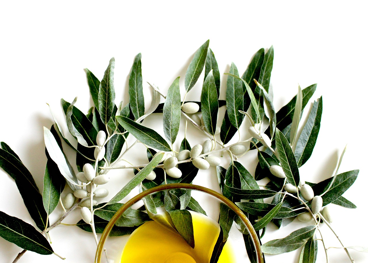 ¿Cómo se usa la hoja de olivo?