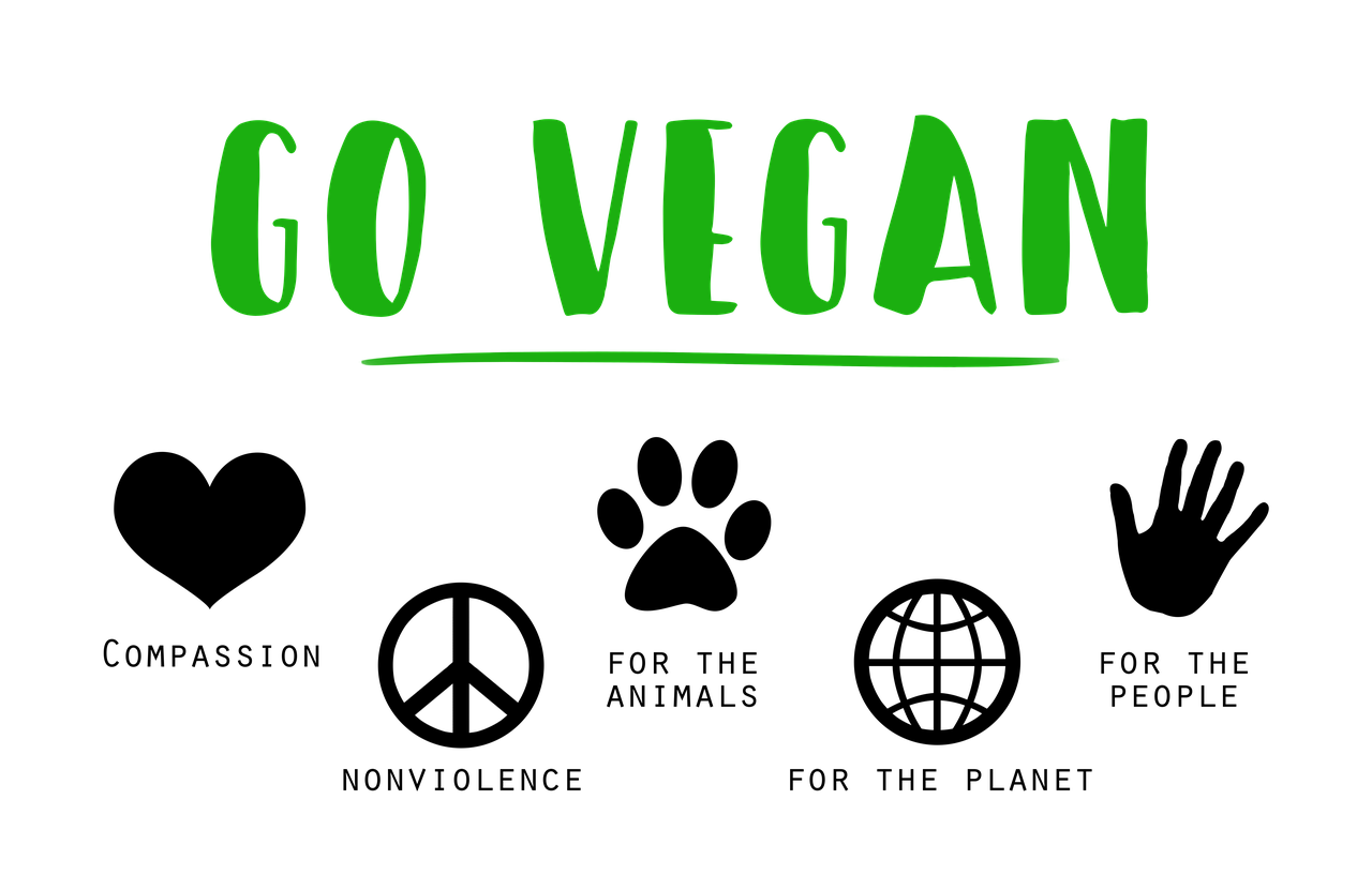 ¿Qué le puedo dar de comer a un vegano?